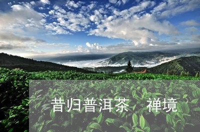 昔归普洱茶 禅境/2023031721504